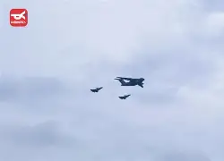 王者归来：退役球星现场观战场内战局的简单介绍