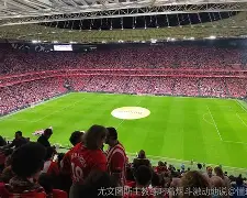 九州娱乐-关于阿拉维斯主场失利，保级形势严峻的信息
